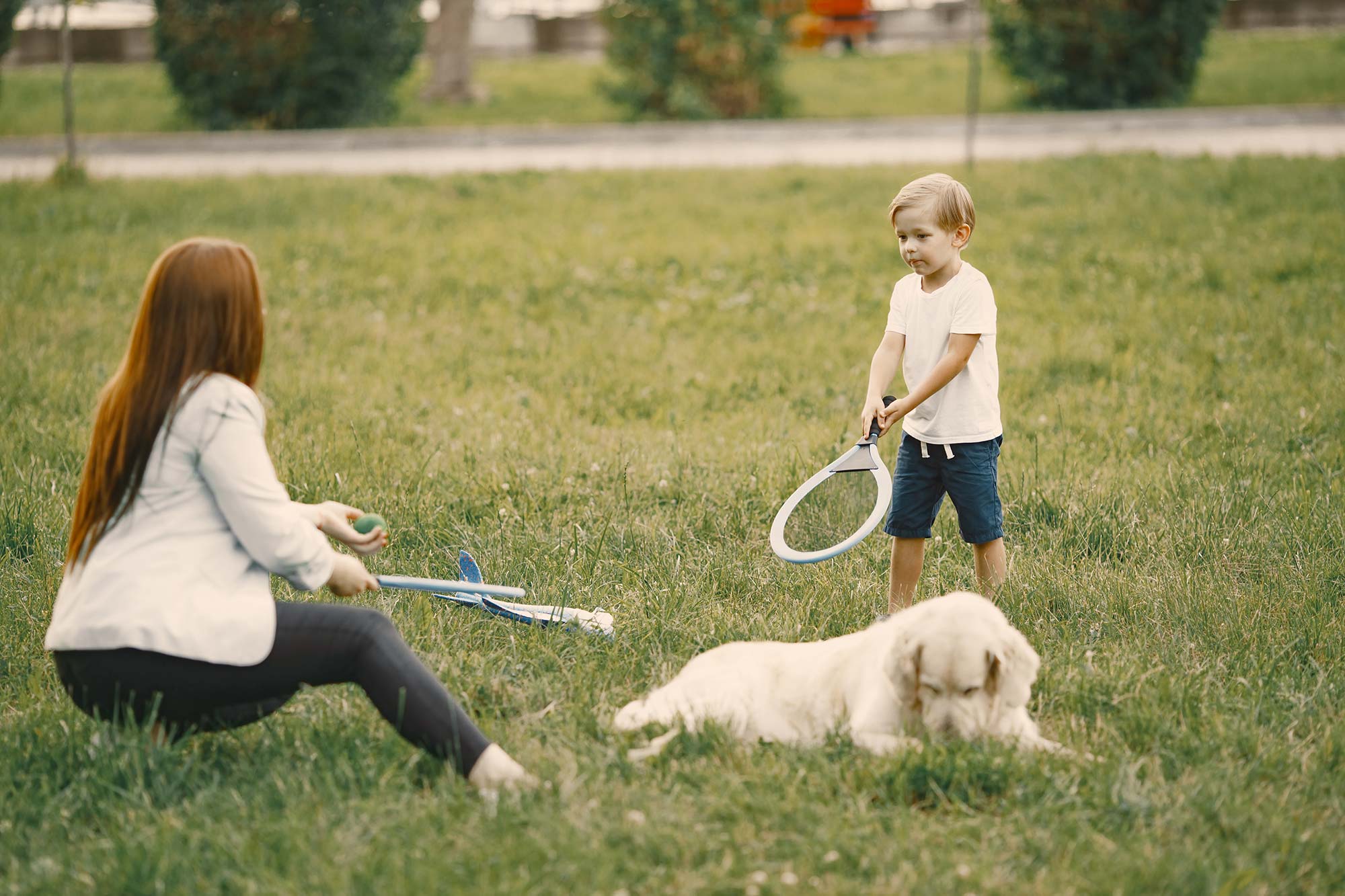 criar un cachorro Golden Retriever